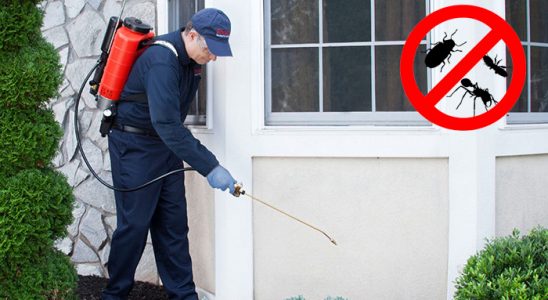 Evka 1 Tahtakurusu İlaçlama böcek ilaçlama ve haşere kontrolü — ilaclama-tr.com